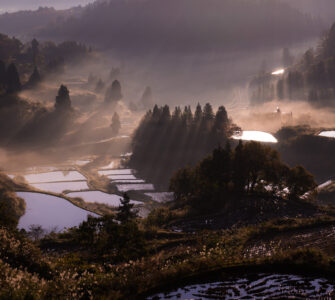 Tranquil misty Japanese rice terraces mountain landscape
