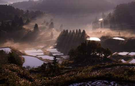 Tranquil misty Japanese rice terraces mountain landscape