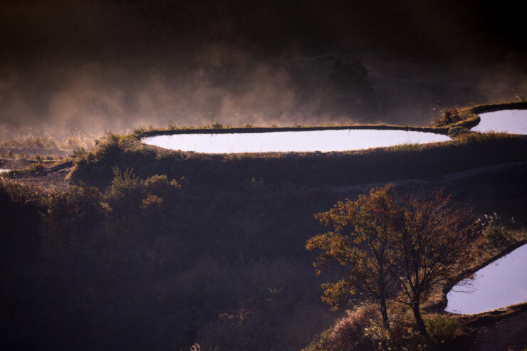 Tranquil misty lake landscape reflection