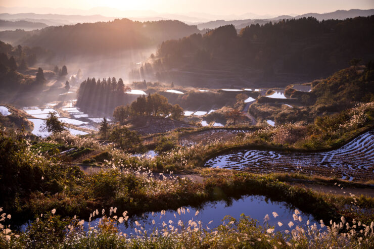 Misty Japanese rice terraces mountainscape.