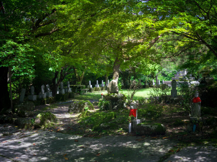 Peaceful Lush Cemetery Grounds, Nature Memorials