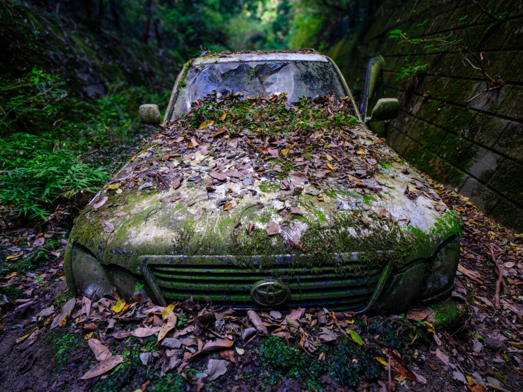 Abandoned Toyota Land Cruiser overgrown with moss and leaves in narrow forest passage.