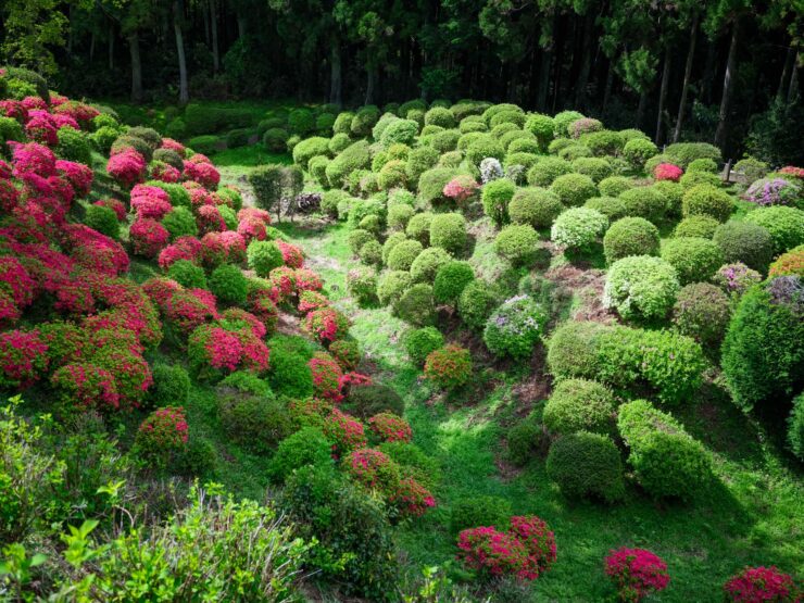 Yamanaka Castle Ruins