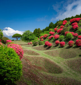 Yamanaka Castle Ruins