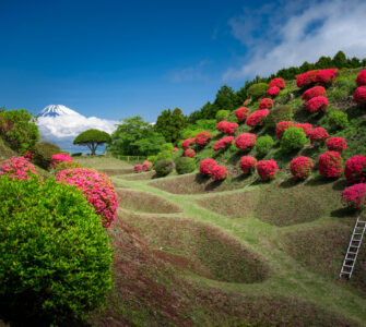 Yamanaka Castle Ruins