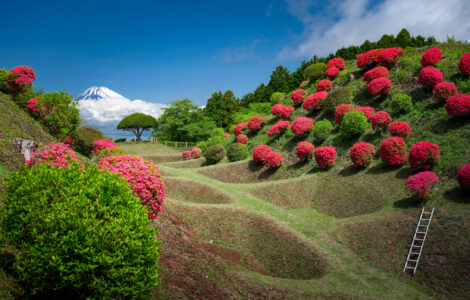 Yamanaka Castle Ruins