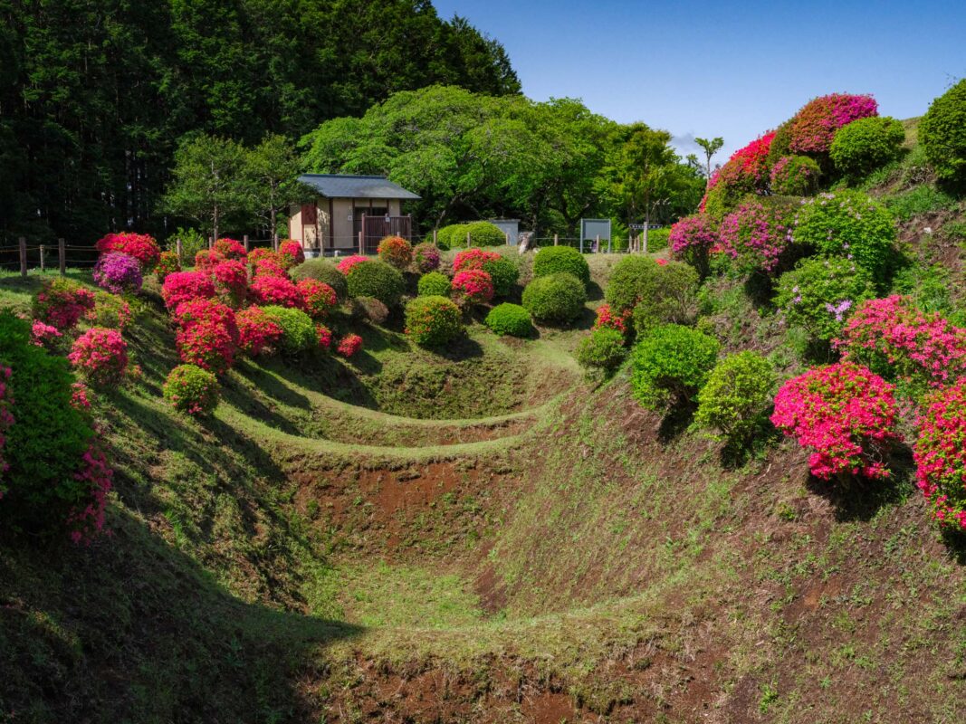Azalea-lined earthen moat at Yamanaka Castle Ruins in Japan, with forest backdrop.