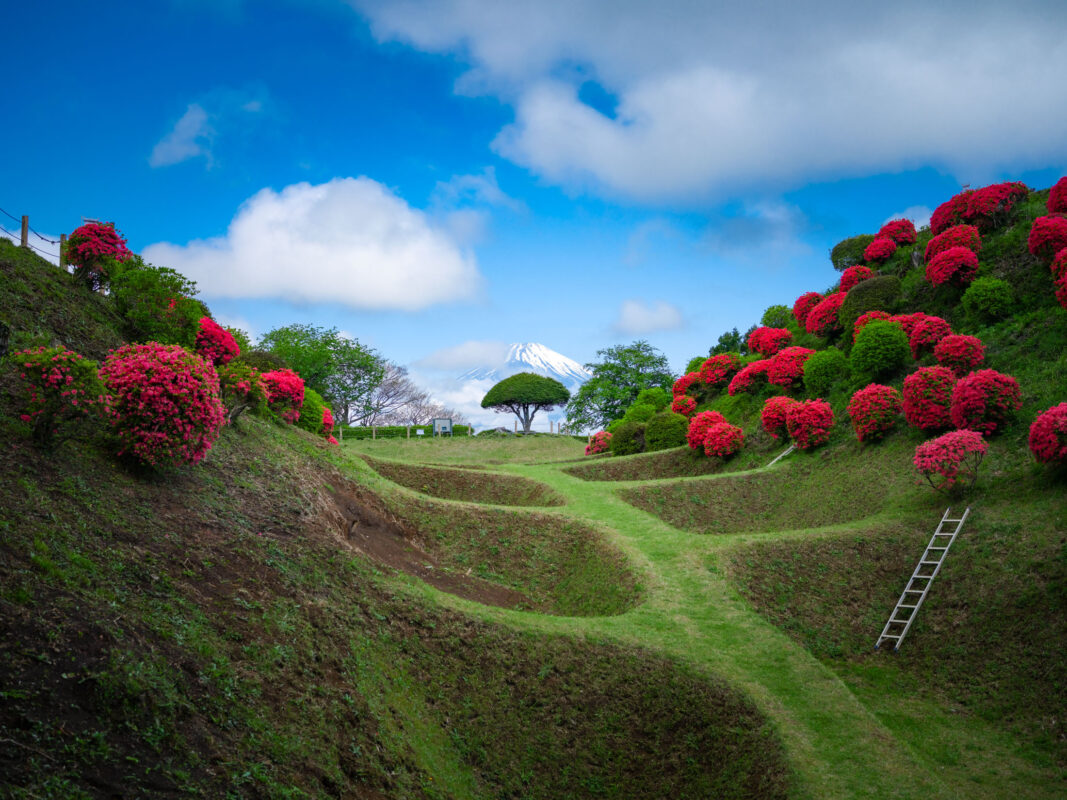 Yamanaka Castle ruins trenches with red azaleas and Mount Fuji in the distance