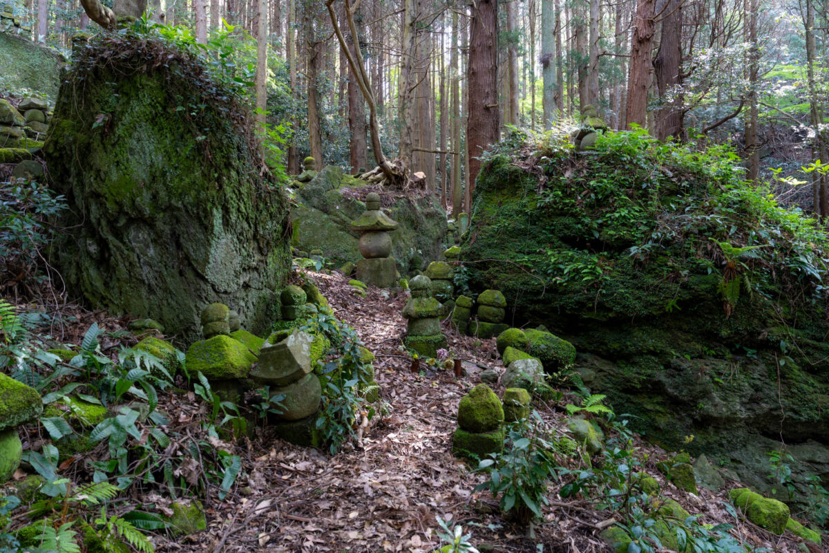 Moss-covered stone lanterns line a forest temple path at Kyu-Sento-ji in Japan.