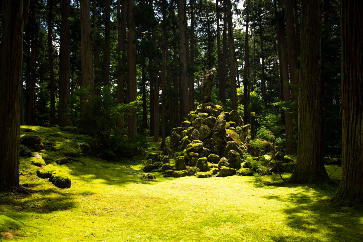 Sunlit mossy clearing with ancient stone mound at Heisenji Hakusan Shrine, Fukui Japan.