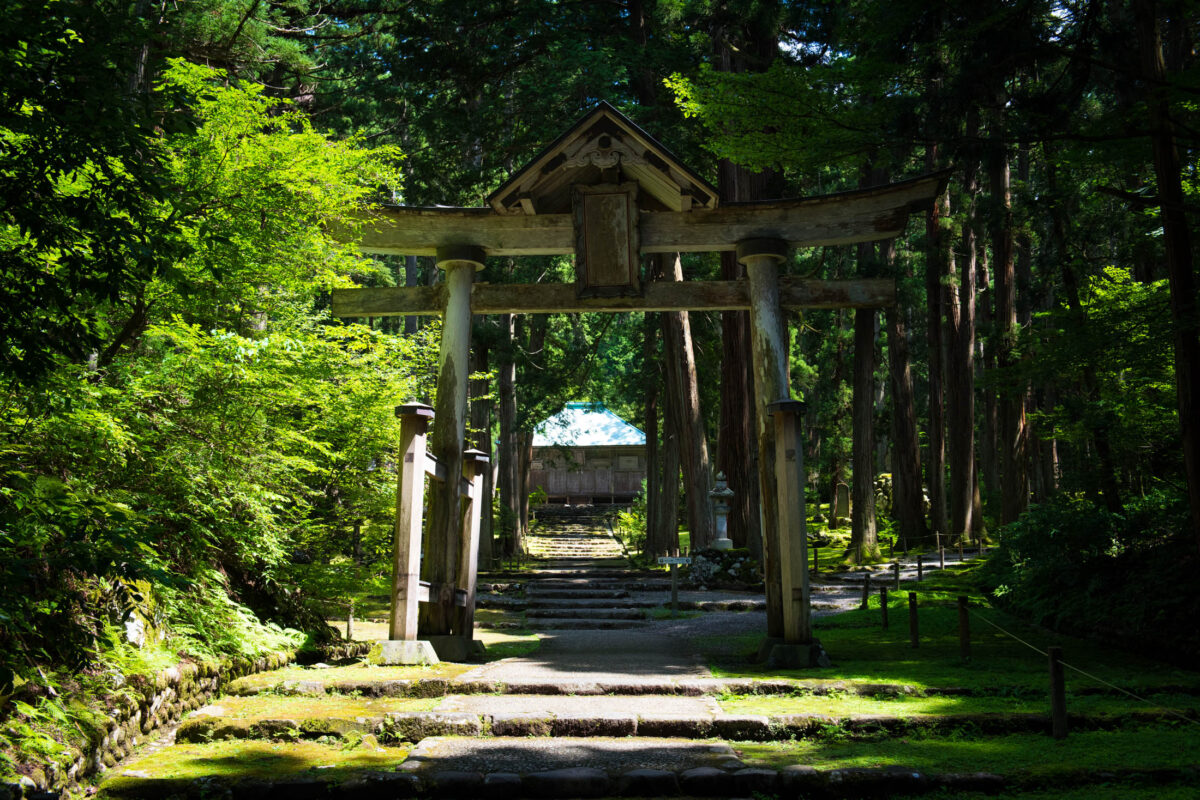 Moss-covered torii gate and stone path in the forest at Heisenji Hakusan Shrine, Japan.
