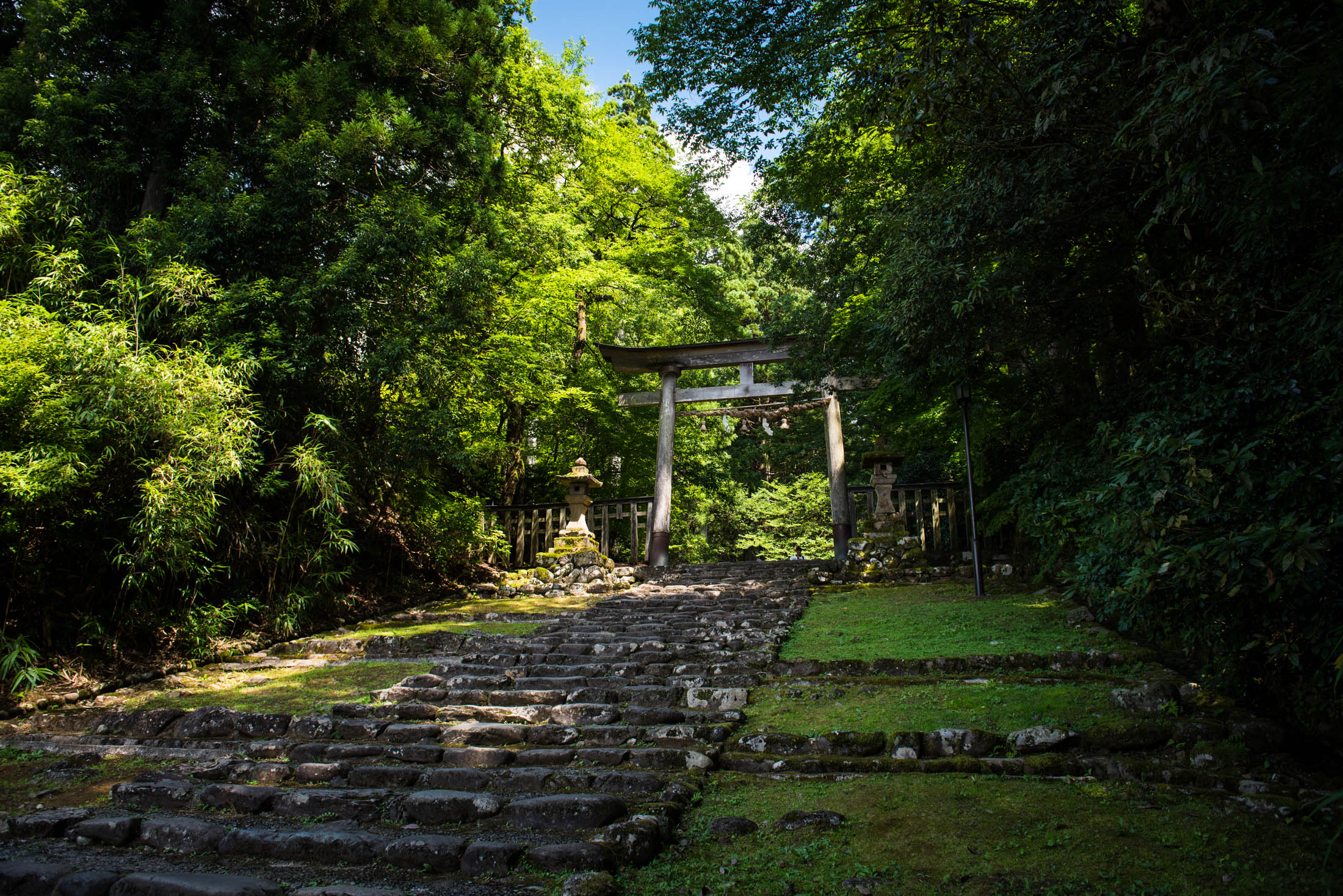 Mossy stone steps through forest leading to torii gate at Heisenji Hakusan Shrine, Japan.