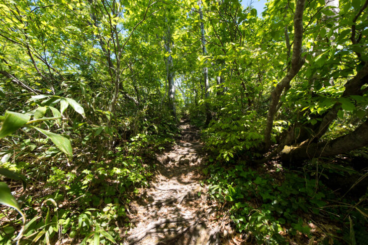 Mount Futatsumori