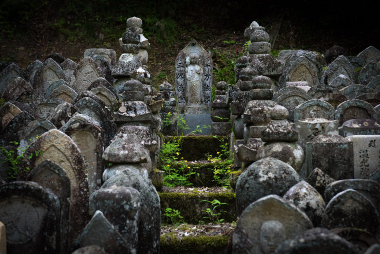 Hase-dera