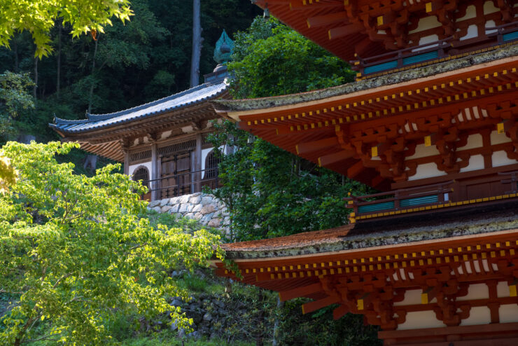 Hase-dera