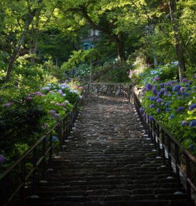 Hase-dera