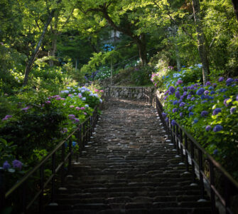 Hase-dera