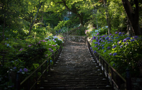 Hase-dera