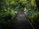 Hase-dera