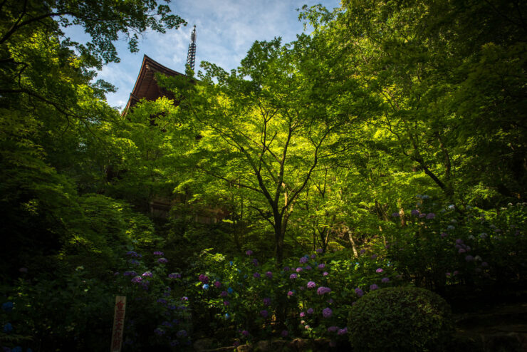 Kongōrin-ji Temple