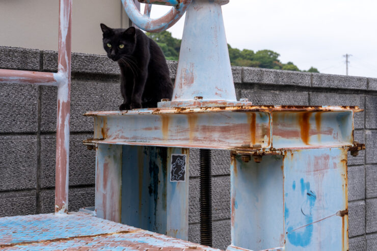 Naoshima