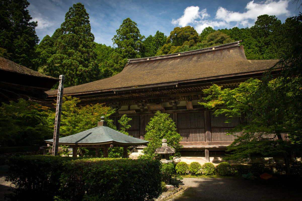 Kongōrin-ji Temple main hall with thatched roof, stone lantern, and moss garden in forest.
