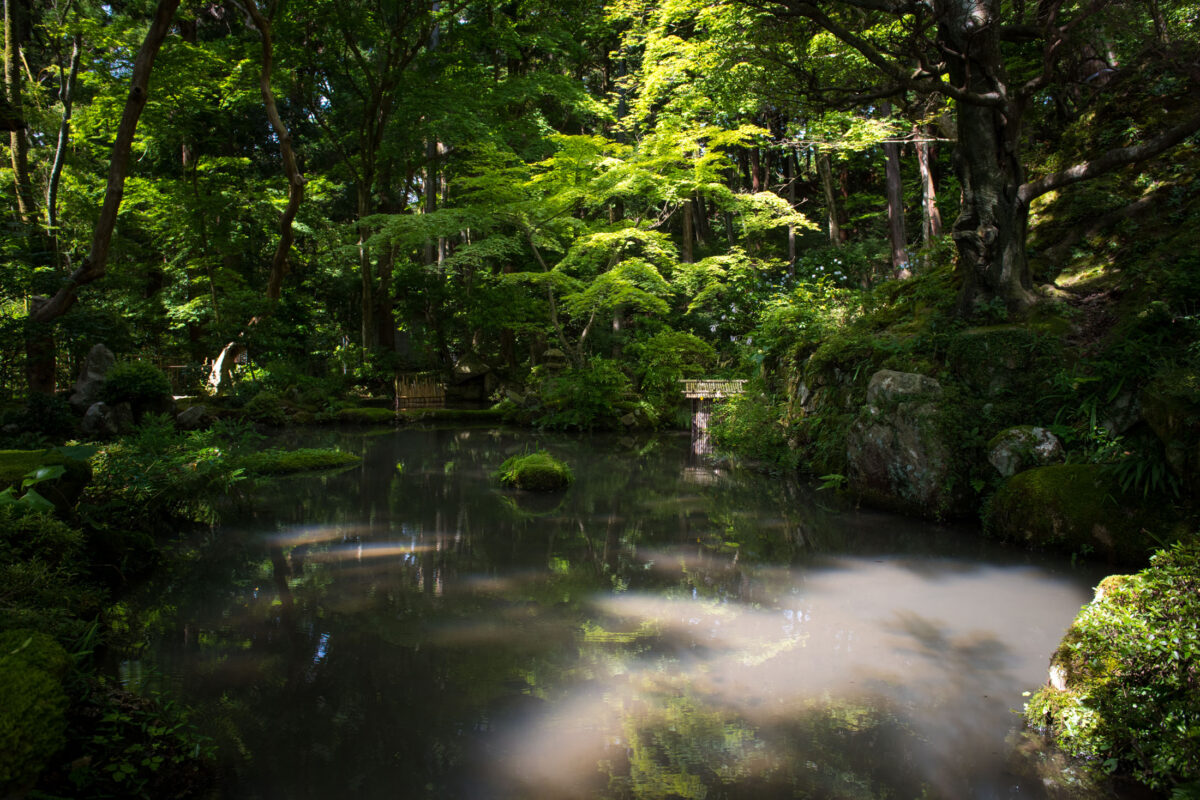 Misty pond garden at Kongōrin-ji Temple, Shiga, Japan, framed by lush forest