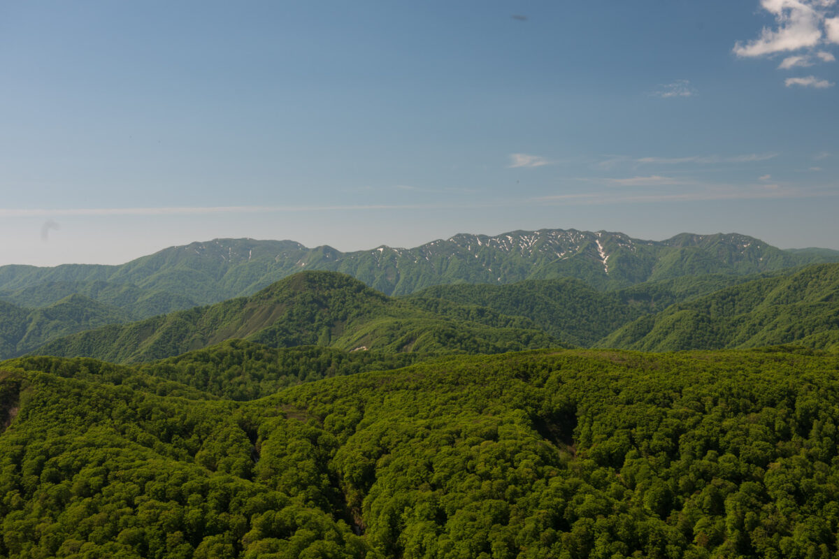Layered forest ridges from Mount Futatsumori summit, distant snowy peaks under blue sky.