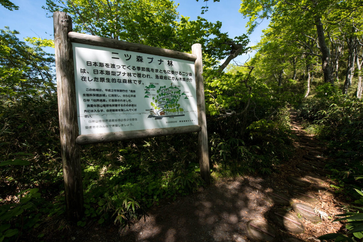 Mount Futatsumori trailhead signboard with Japanese text beside a forest hiking path.