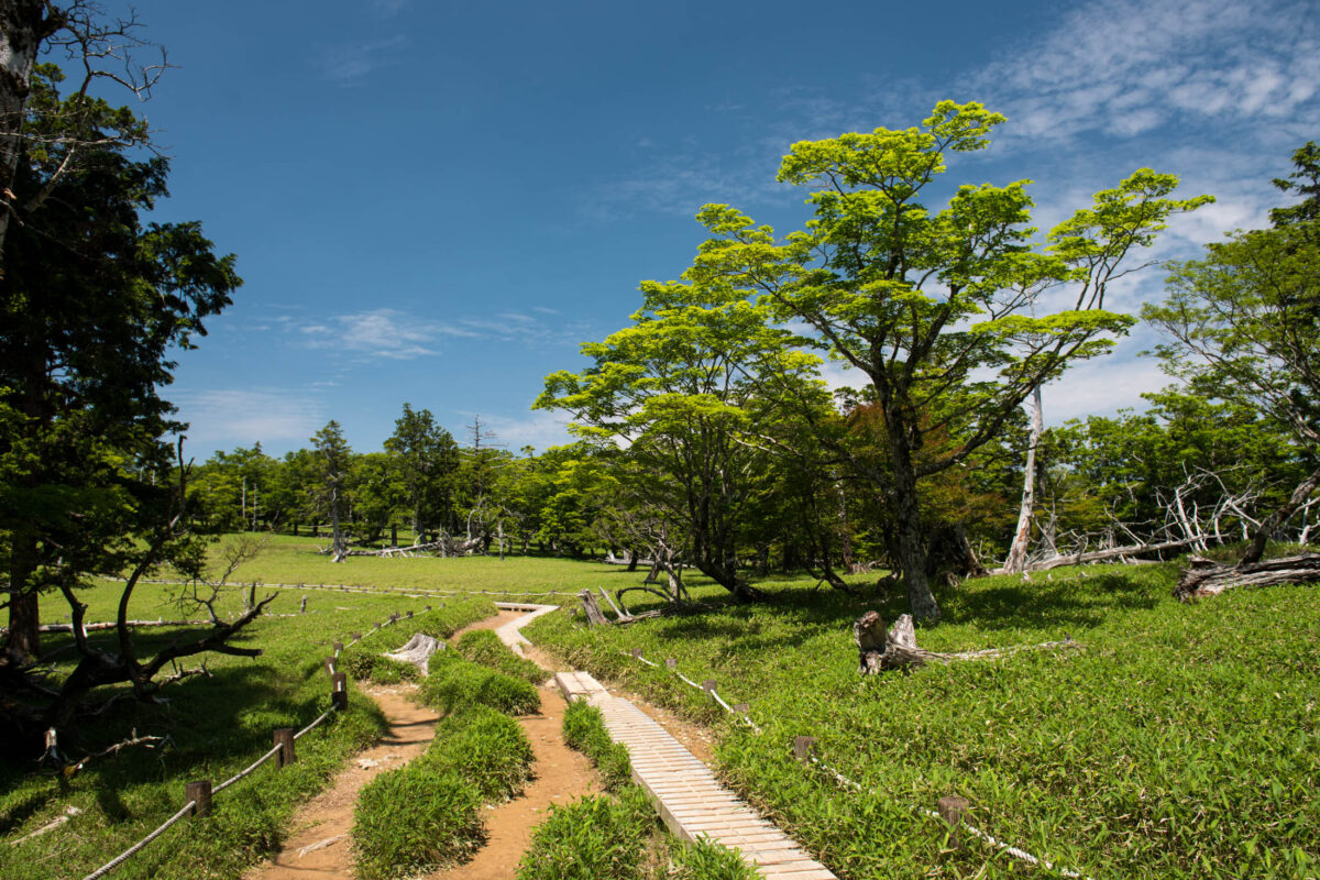 Mount Ōdaigahara highland trail winding through green meadow under blue sky, Japan
