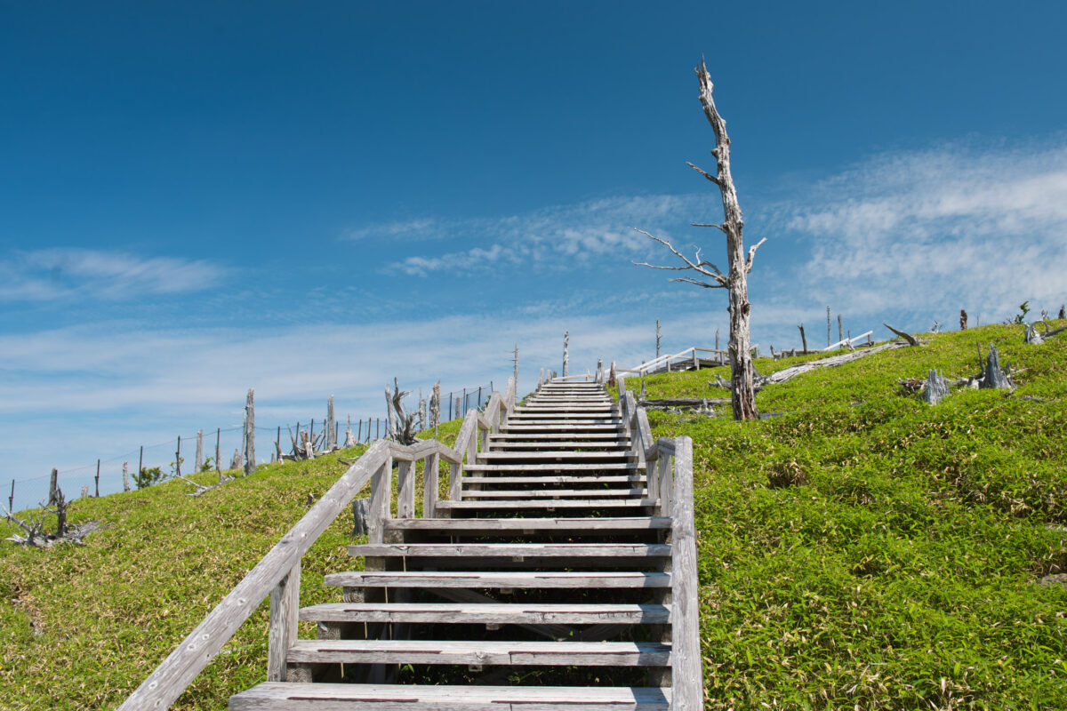 Wooden staircase hiking trail on Mount Ōdaigahara, Japan, with grassy slopes and bare trees
