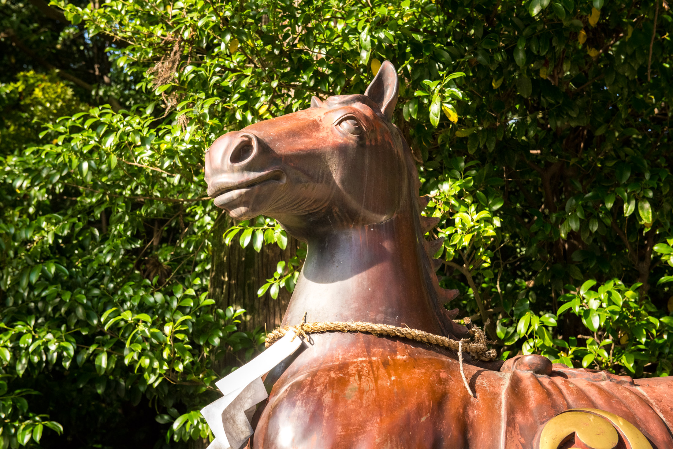 Horse