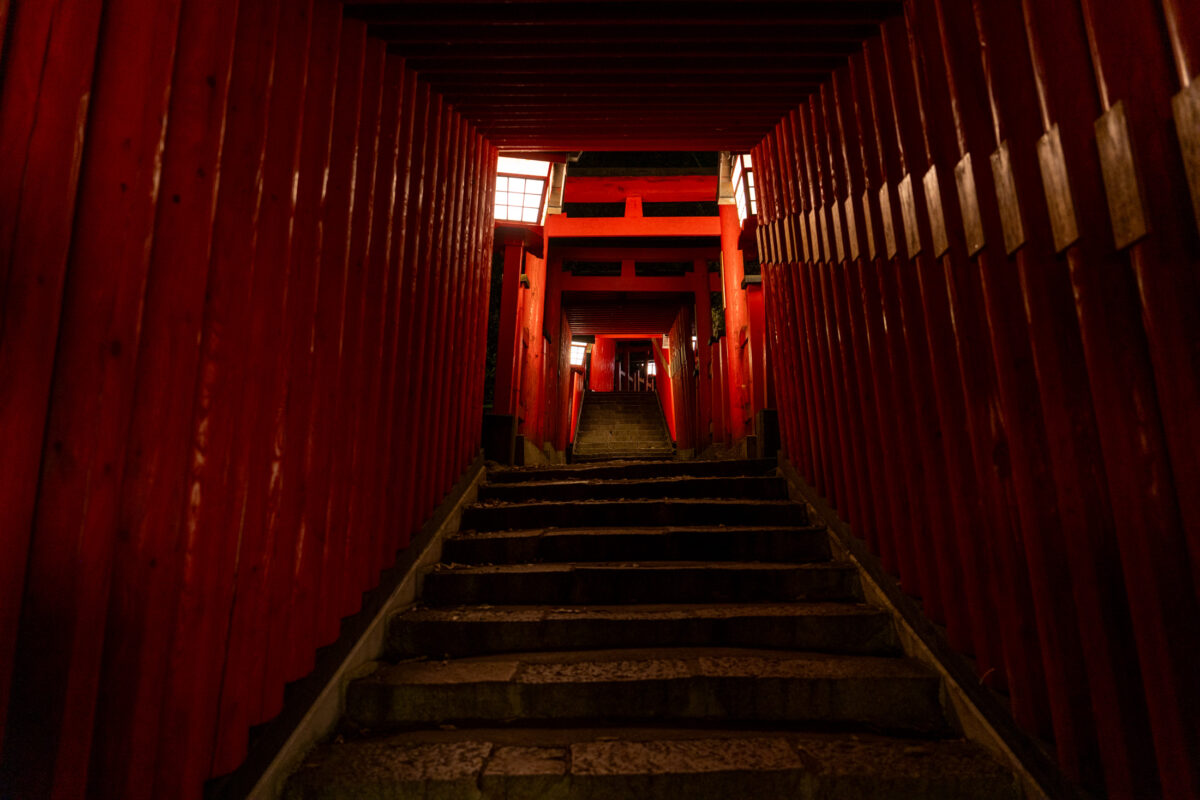 Vermilion torii gate tunnel and stone steps at Taikodani Inari-jinja Shrine, Japan.