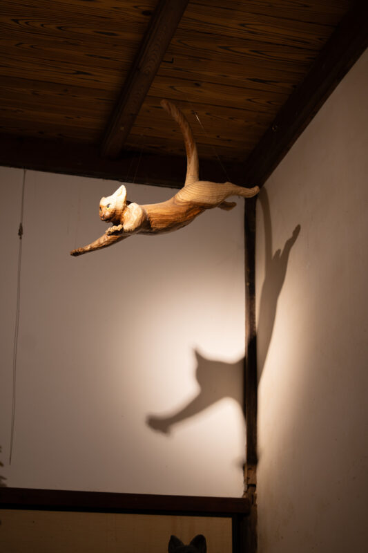 Leaping wooden cat sculpture casting shadow on temple wall at Unrin-ji