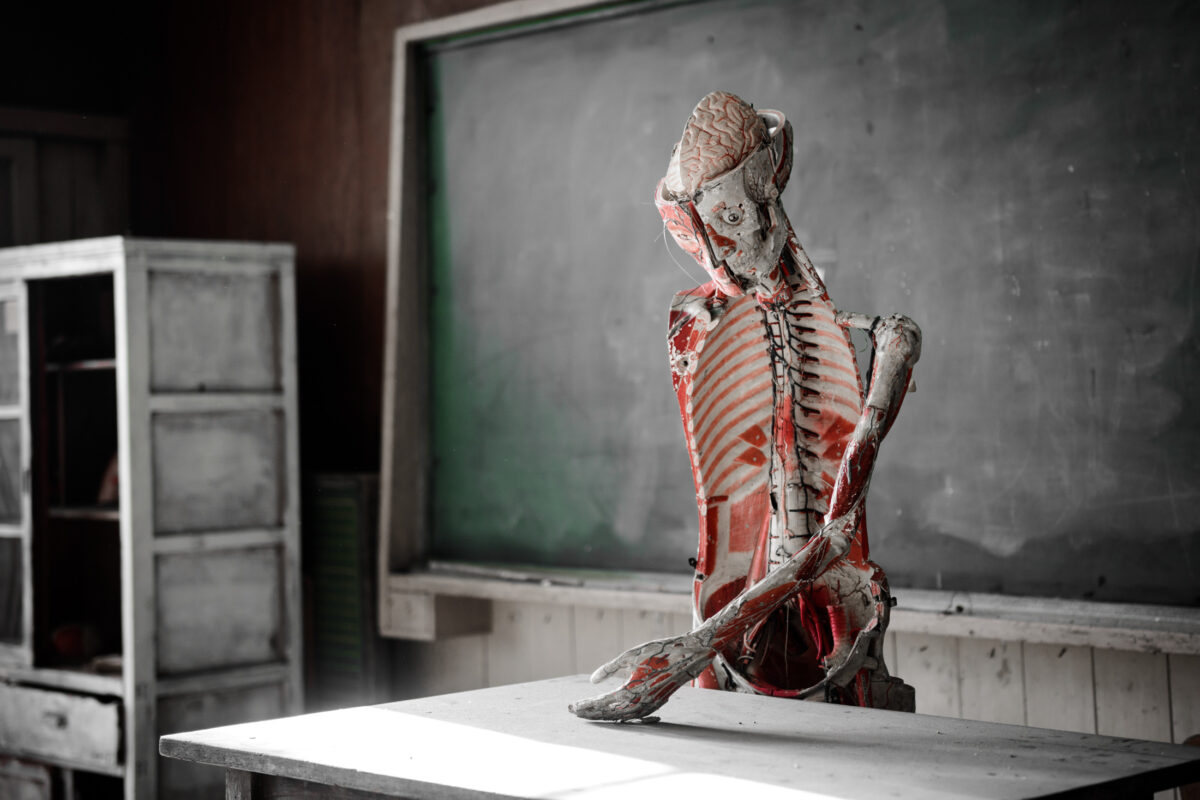Anatomy torso model on desk in abandoned school classroom with dusty chalkboard