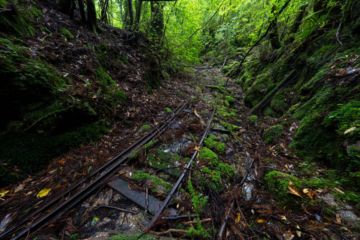 Overgrown abandoned railway rails in a mossy forest ravine with wet leaves