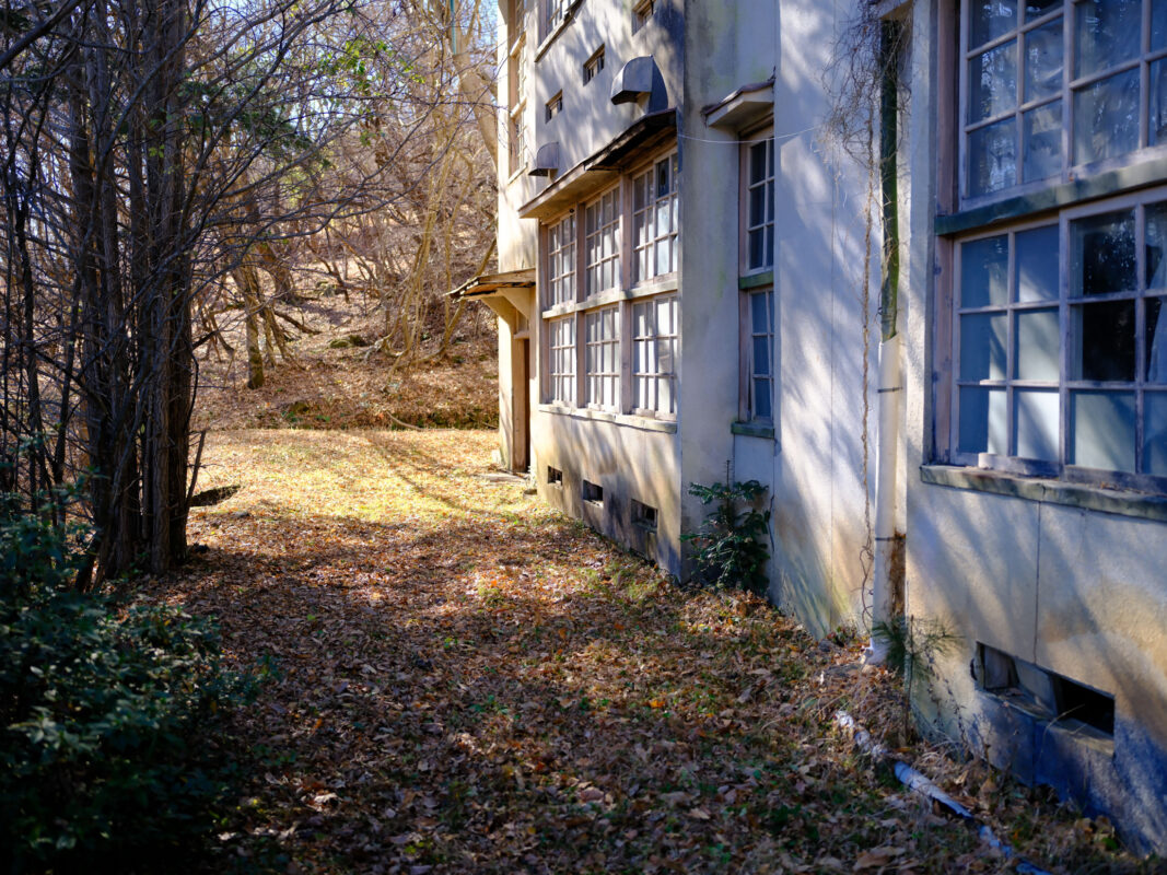 Abandoned school building with tall windows beside leaf-covered path and bare autumn trees.