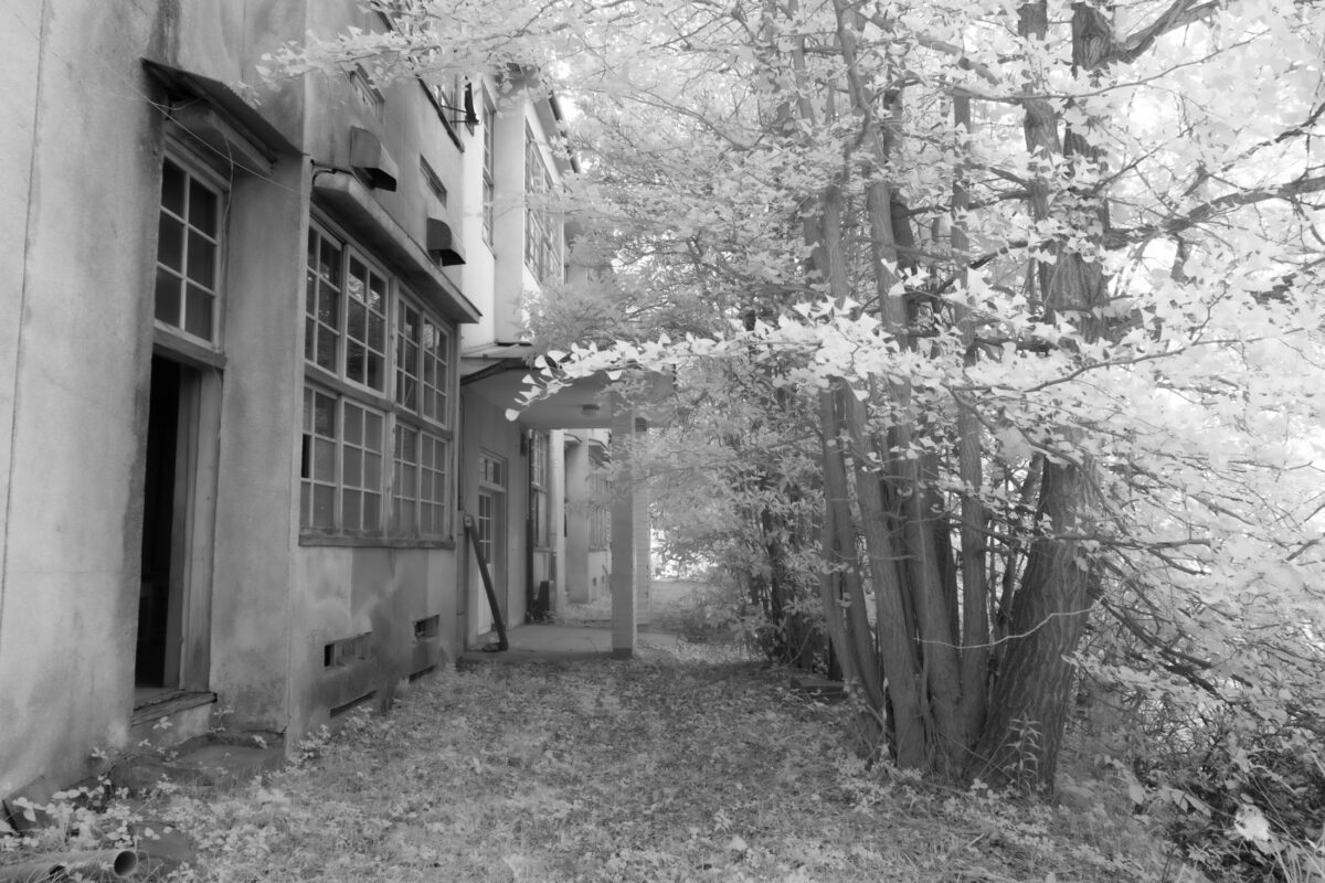 Black and white photo of abandoned school building overtaken by forest, eerie ruins