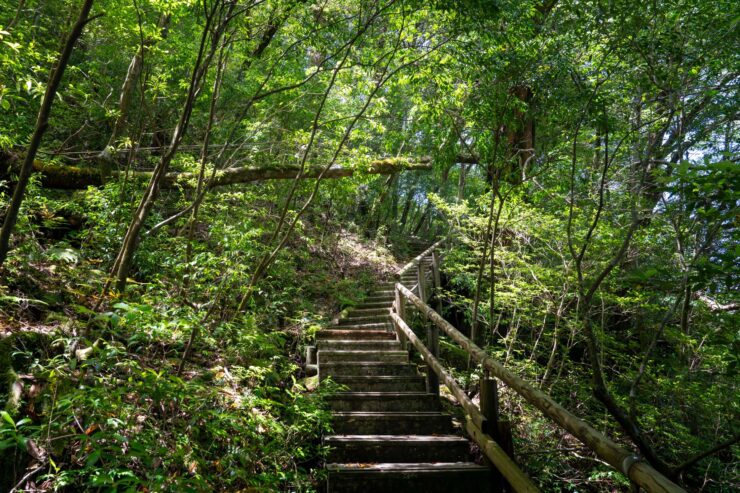 Shiratani Unsui Gorge