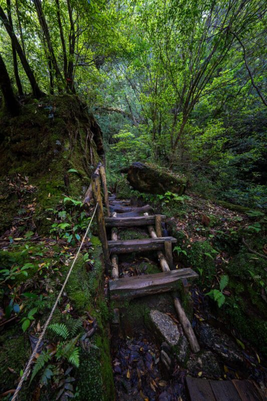 Shiratani Unsui Gorge
