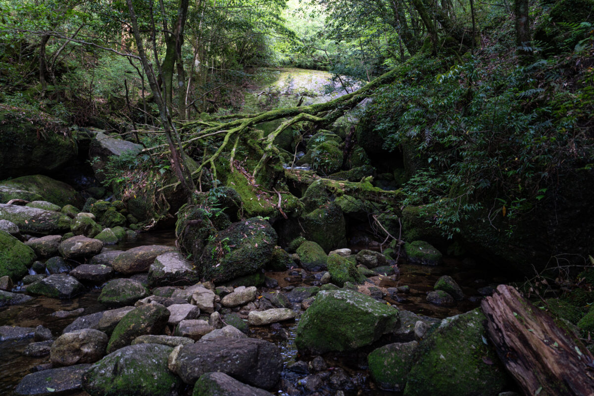Shiratani Unsui Gorge