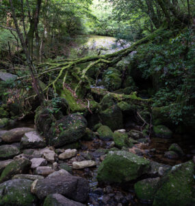 Shiratani Unsui Gorge