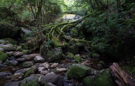 Shiratani Unsui Gorge