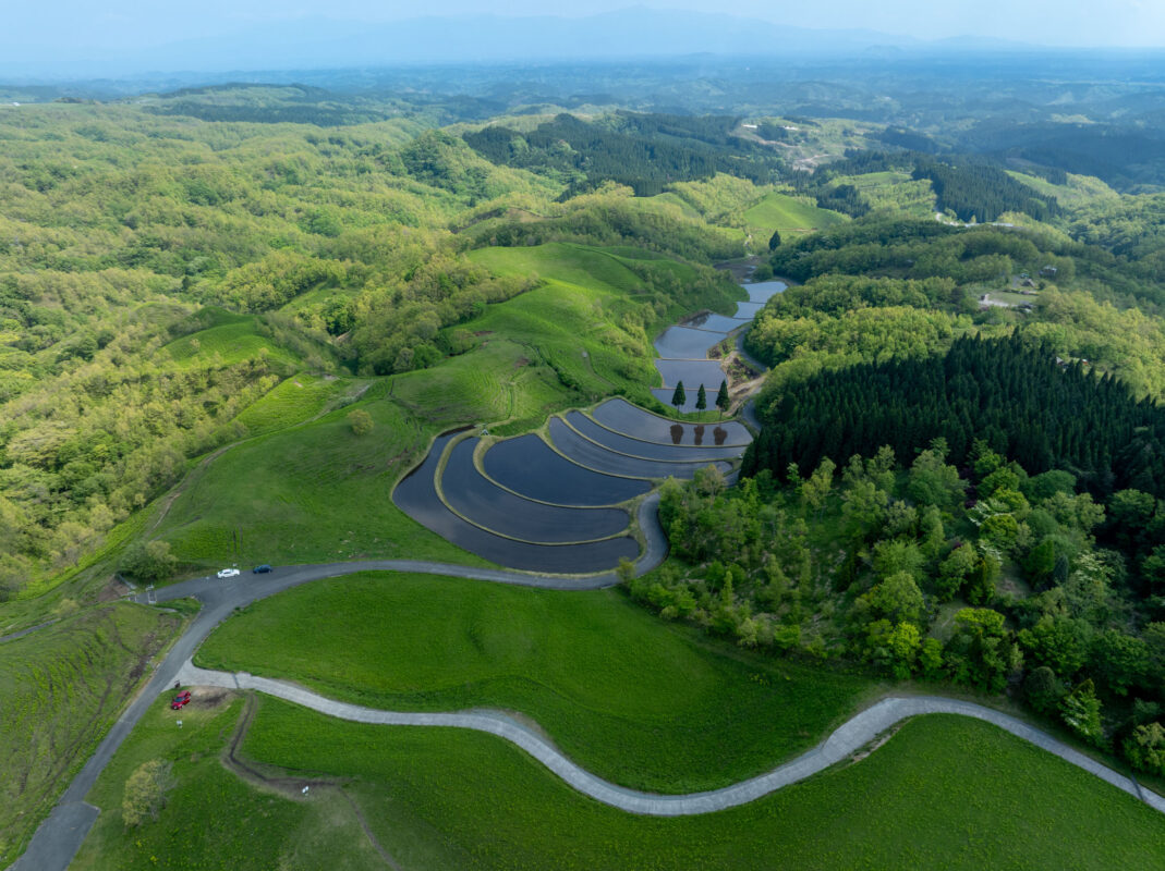 Aerial view of Ogi Terrace Fields, curved rice terraces across lush green hills in Japan.