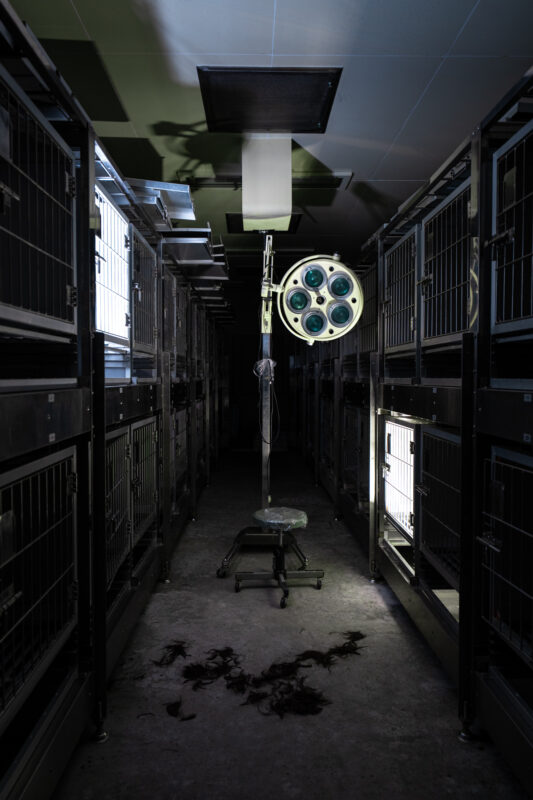 Dim animal research lab corridor lined with metal cages, empty surgical lamp and stool.