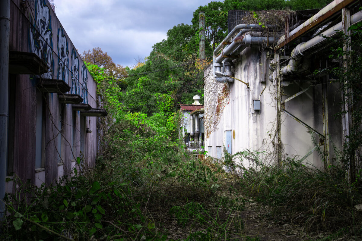 Overgrown corridor between abandoned animal research institute buildings with pipes, graffiti, and weeds.