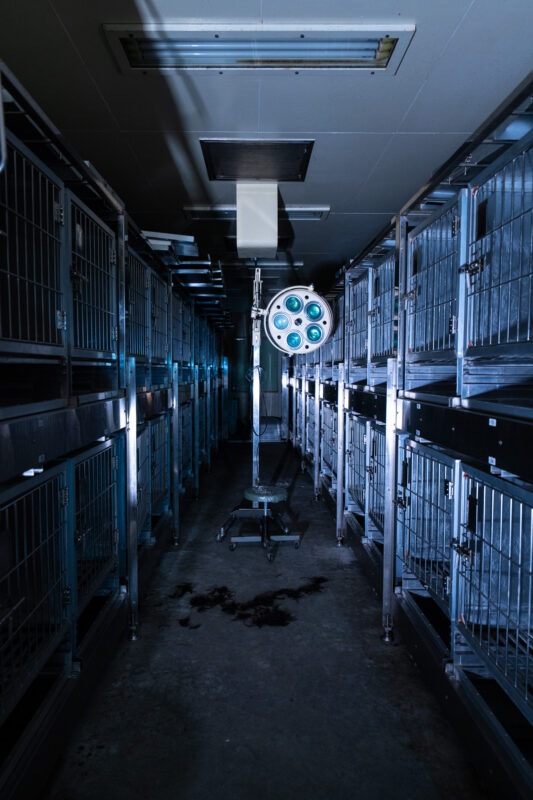 Sterile research corridor with stacked metal animal cages and equipment under fluorescent lighting