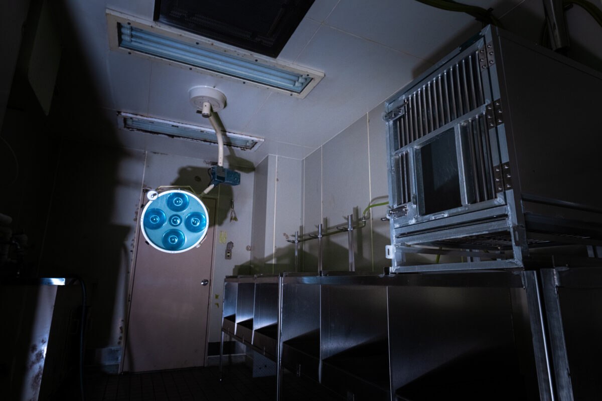 Sterile animal research lab with ceiling exam light and empty stainless steel cages.