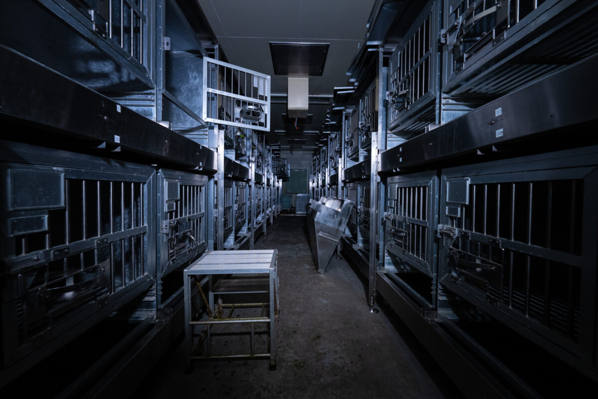 Sterile animal research lab corridor with stacked metal cages and trolley under blue lighting