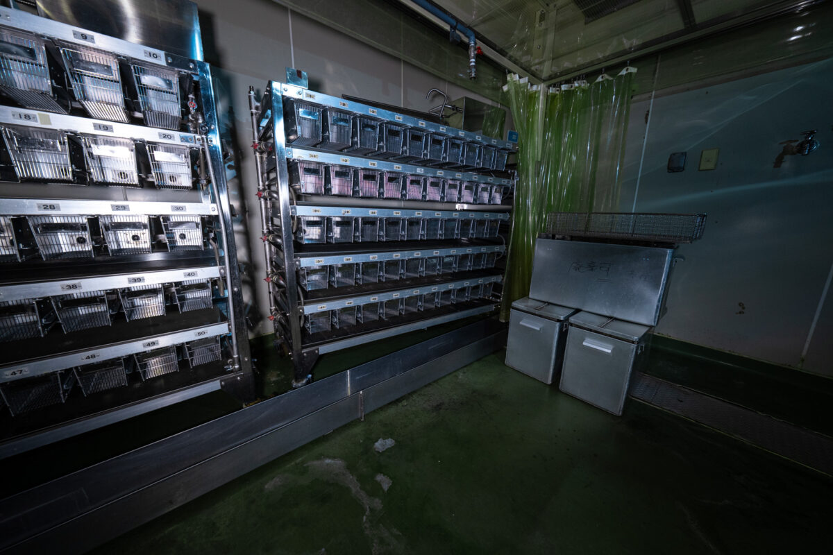 Animal research lab cage room with metal racks of labeled cages and green curtain partition.